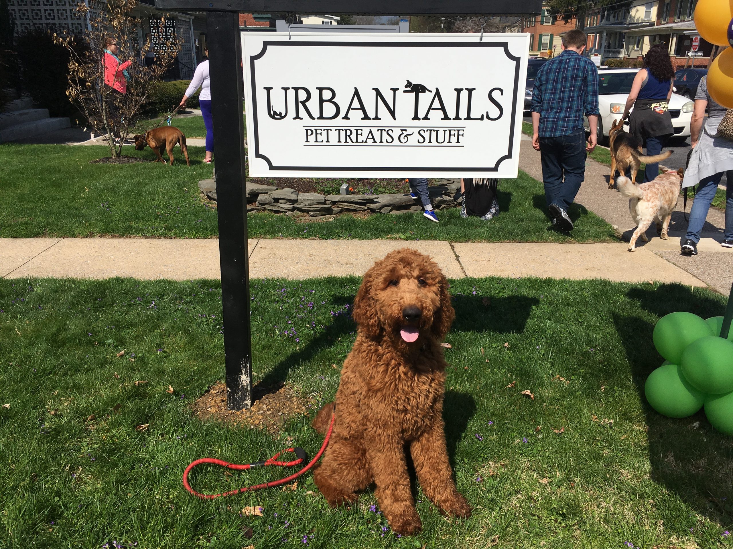 IMG_3413-9de2268d6cf2676971f4387b26a2ed32