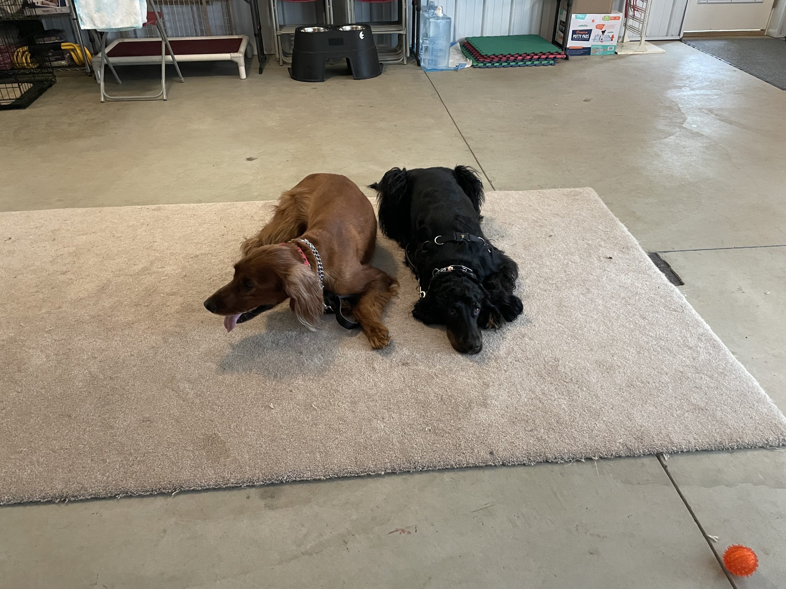 IMG_7240-2f93f2c373f66468b8a4f82e699c0765