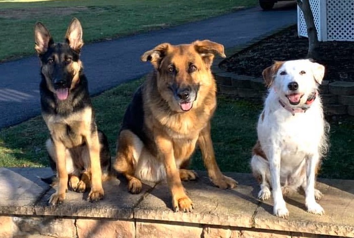 "Staff Kids" who are still expecting full bowls.