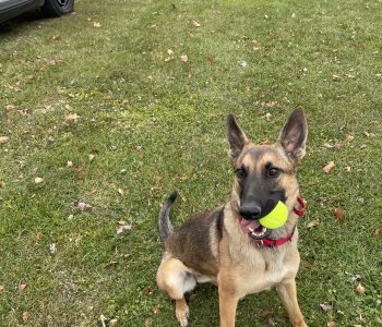 IMG_1292-939c9b4310eb0fe827d7092d022dc5c5